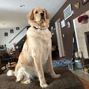 Meet your Posher, Haleigh